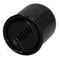 Filtru combustibil JAPANPARTS, Cod: FC-111S