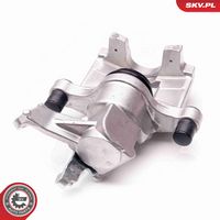 Article Picture