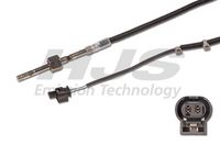 Sensor, Abgastemperatur