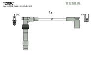 Set fise bujii TESLA, Cod: T289C