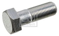 Schraube, Bremssattel