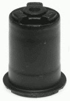 Lagerung, Achskörper