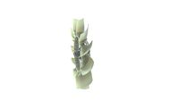 Thumbnail - Koelventilatorwiel - CFF484000P - MAHLE