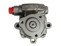 Hydraulikpumpe, Lenkung