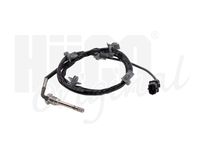 Sensor, Abgastemperatur