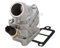 Thermostat, coolant
