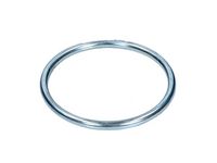 Seal Ring, exhaust pipe