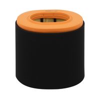 Luftfilter Luftfilter