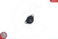 Idle Control Valve, air supply