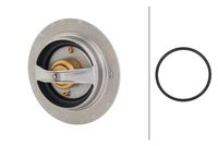 Thermostat, Kühlmittel