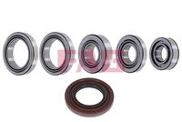 Reparatursatz, Differential
