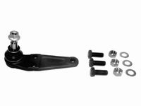 Trag-/Führungsgelenk