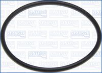 DICHTRING WASSERPUMPE