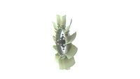 Thumbnail - Koelventilatorwiel - CFF484000P - MAHLE