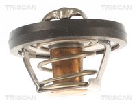 Thermostat, Kühlmittel