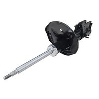 Amortizor CTR, Cod: GY1001G