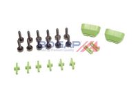 SET DE REPARAțIE MECATRONICă (CUTIE AUTOMATă)