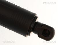 Article Picture