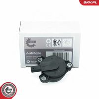 Central Magnet, camshaft adjustment