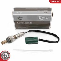 Oxygen Sensor