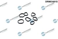 Blīvju komplekts, Eļļas radiators DRM03491S Dr