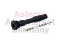 Stecker, Zündspule
