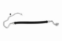 Article Picture