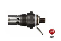 NGK Gloeibougie 1
