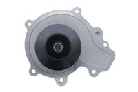 Wasserpumpe, Motorkühlung