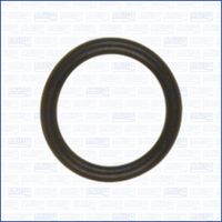 INEL DE ETANșARE POMPă DE INJECțIE