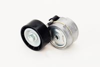 Spannrolle, Keilrippenriemen