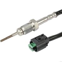 Sensor, Abgastemperatur