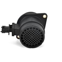 DELPHI Luchtmassameter 8