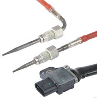 Sensor, Abgastemperatur