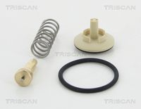Thermostat, Kühlmittel