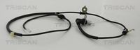 Sensor, Raddrehzahl