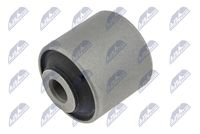 тампон, носач