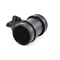 DELPHI Luchtmassameter 5