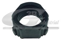 BUCSA ARBORE DE DIRECTIE