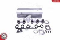 Manifold, exhaust system