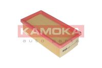 Article Picture
