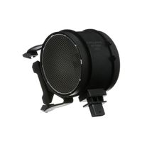 DELPHI Luchtmassameter 5