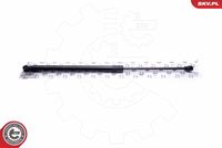 Gas Spring, boot/cargo area