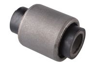 тампон, носач