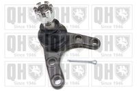 Trag-/Führungsgelenk