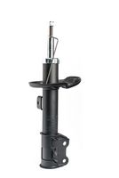 Amortizor DR!VE+, Cod: DP1610.10.0204