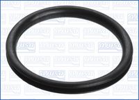 GARNITURă DE ETANșARE CONDUCTă DE ULEI