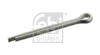 SPLINT