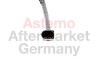 Sensor, Abgastemperatur