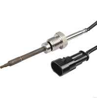 Sensor, Abgastemperatur